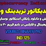 دانلود رایگان و آموزش اندیکاتور نوسان گیری Vdubus Binery Pro برای ارز دیجیتال و فارکس در تریدینگ ویو تایم فریم 30 دقیقه