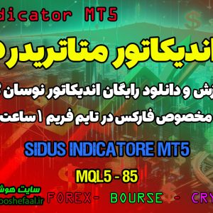 دانلود اندیکاتور Sidus MT5 برای فارکس