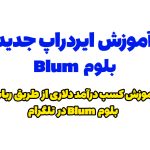 آموزش کسب درآمد دلاری از ایردراپ بلوم | Bulm