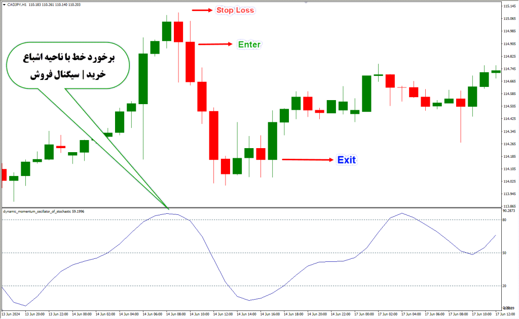 دانلود اندیکاتور Stochastic برای فارکس | Dynamic Momentum Oscillator MT4