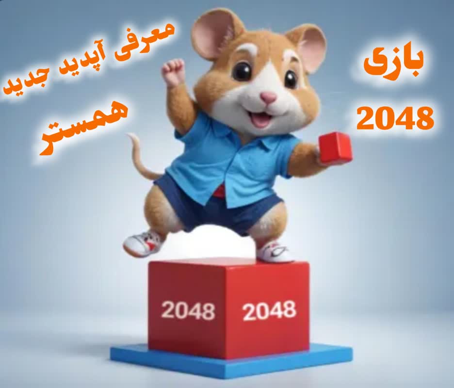 کسب در آمد دلاری از ایردراپ همستر و نحوه دریافت کلید از آپدیت جدید همستر 2048| Hamster new update