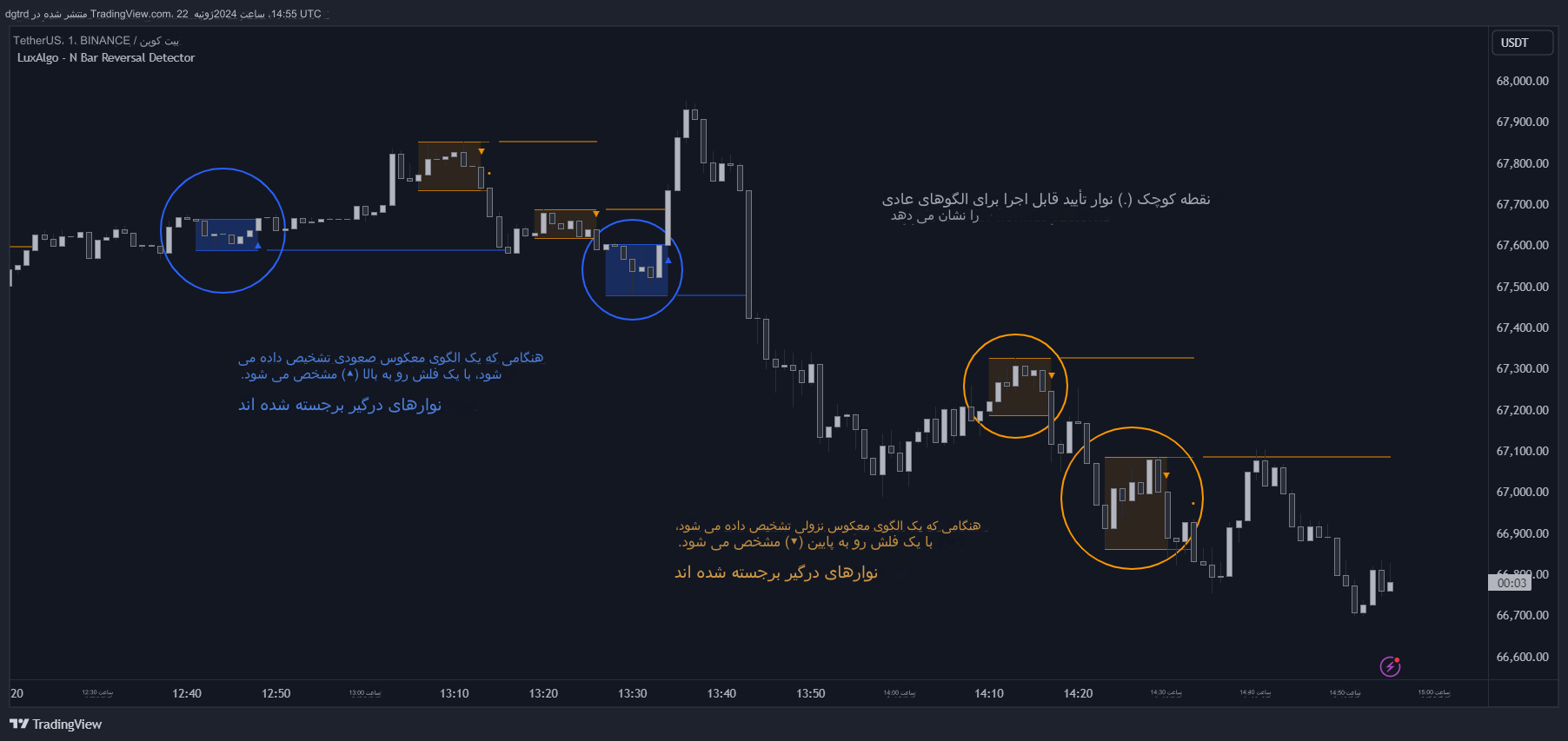 دانلود اندیکاتور N Bar Reversal Detector برای تریدینگ ویو TradingView