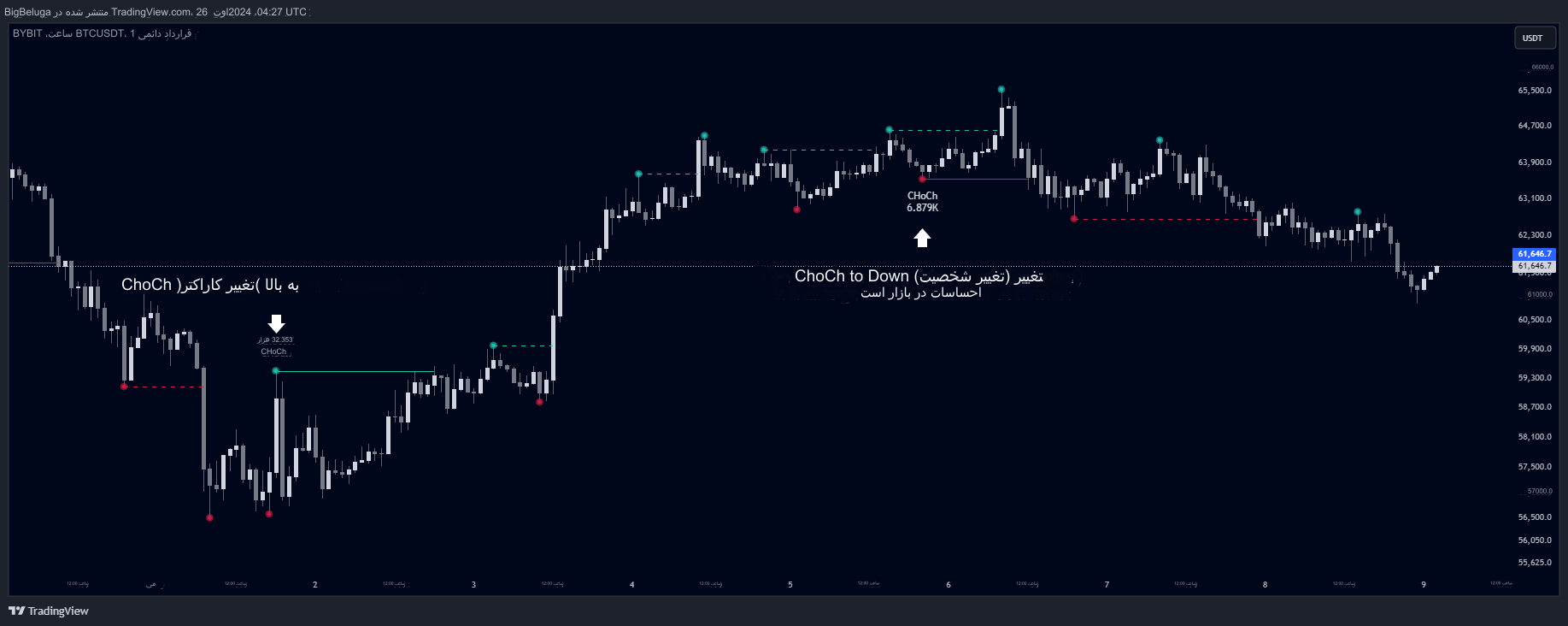 دانلود اندیکاتور اسکالپ Market Structure Trailing Stop برای تریدینگ ویو TradingView