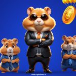 کارت های ایردراپ همستر امروز 16 شهریور 1403 Hamster