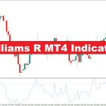 دانلود اندیکاتور Williams R در متاتریدر 4 | شناسایی شرایط بیش‌خرید و بیش‌فروش در بازار