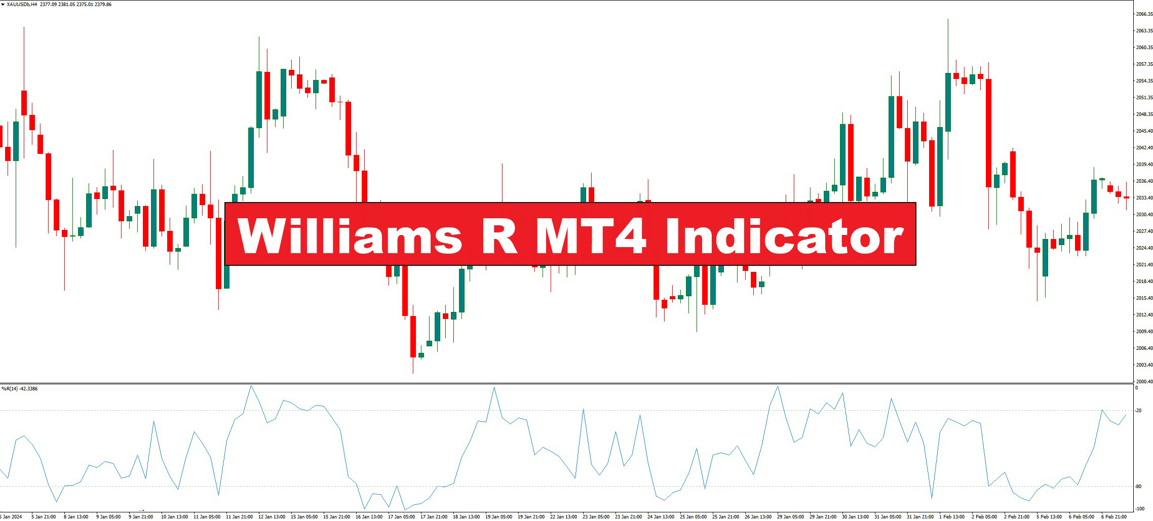 دانلود اندیکاتور Williams R در متاتریدر 4 | شناسایی شرایط بیش‌خرید و بیش‌فروش در بازار