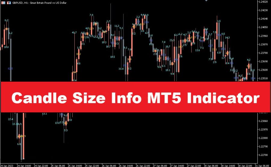 دانلود اندیکاتور Candle Size Info | آموزش تحلیل دقیق حرکات قیمت با اندیکاتور Candle Size Info در MT5