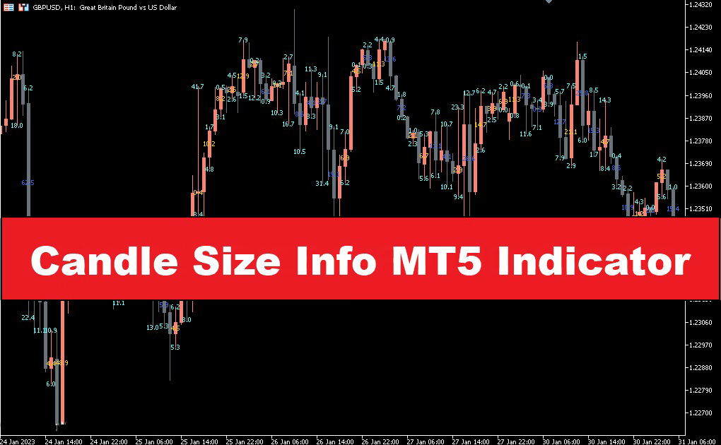 دانلود اندیکاتور Candle Size Info | آموزش تحلیل دقیق حرکات قیمت با اندیکاتور Candle Size Info در MT5