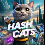 HashCats هش کت