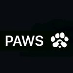 پروژه جدید پولساز ایردراپ پاز PAWS - شروع استخراج پاز PAWS