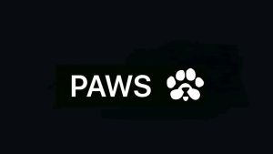 پروژه جدید پولساز ایردراپ پاز PAWS - شروع استخراج پاز PAWS