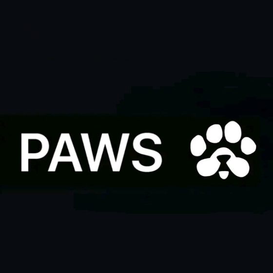 پروژه جدید پولساز ایردراپ پاز PAWS – شروع استخراج پاز PAWS