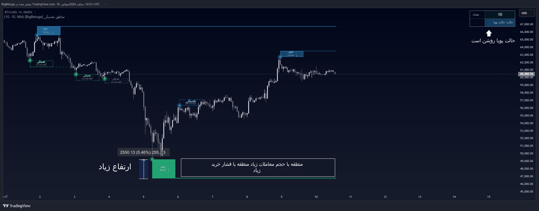 دانلود اندیکاتور تشخیص مناطق Liquidity Zones نقدینگی در تریدینگ ویو | پیش بینی حرکت بازار