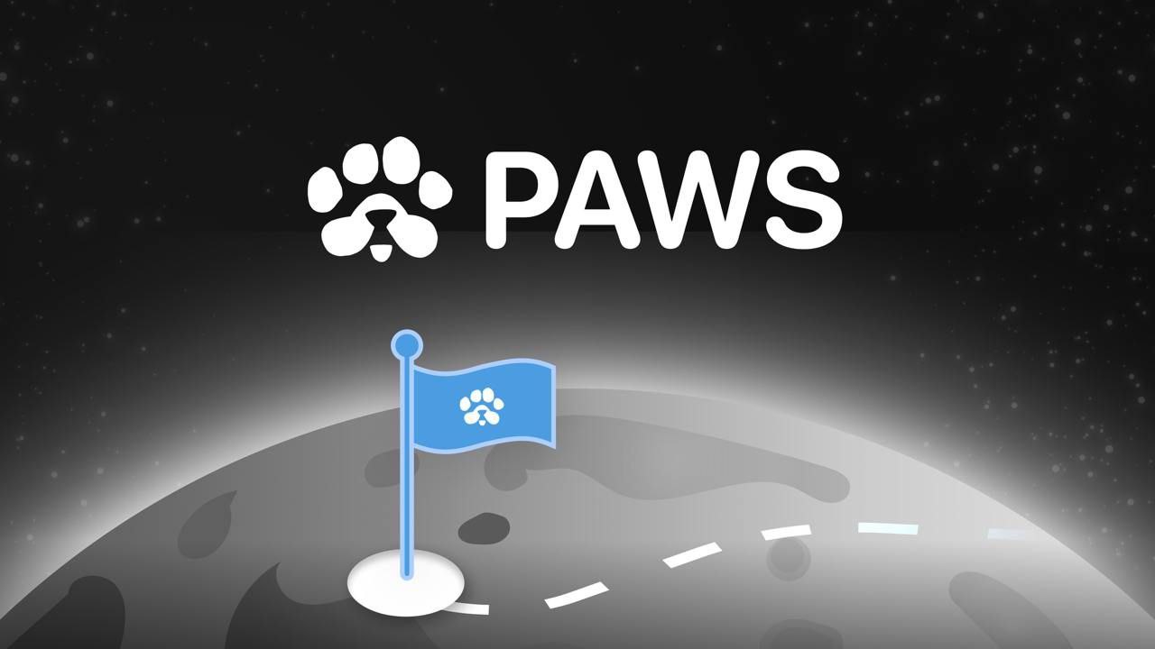 پروژه جدید پولساز ایردراپ پاز PAWS - شروع استخراج پاز PAWS