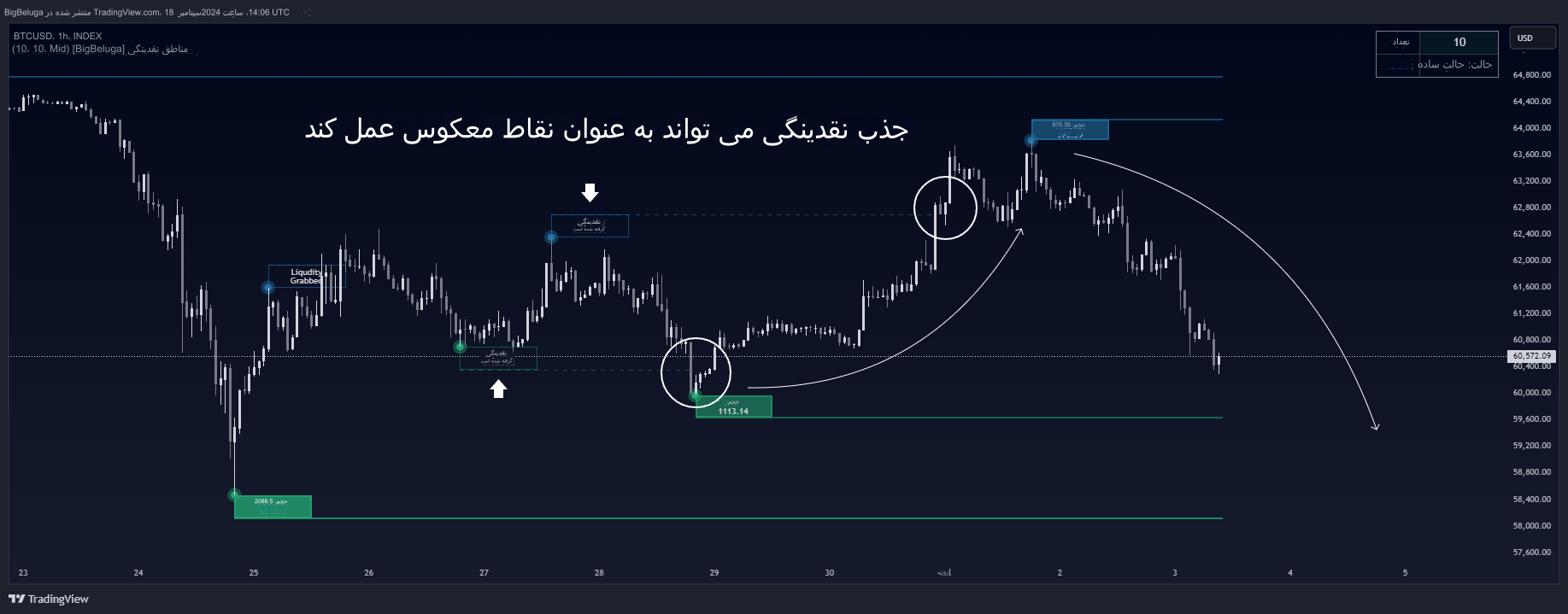 دانلود اندیکاتور تشخیص مناطق Liquidity Zones نقدینگی در تریدینگ ویو | پیش بینی حرکت بازار