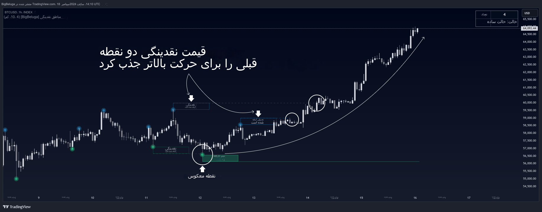 دانلود اندیکاتور تشخیص مناطق Liquidity Zones نقدینگی در تریدینگ ویو | پیش بینی حرکت بازار