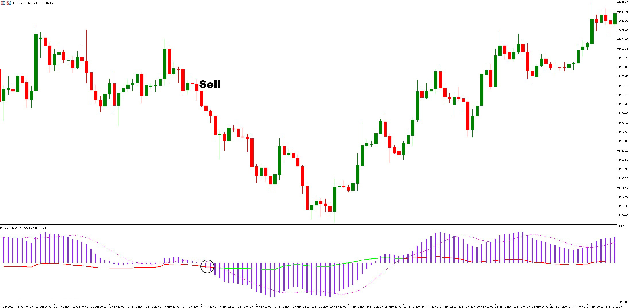 دانلود اندیکاتور اسکالپ MACD RSI در MT5 | سیگنال‌ها، استراتژی‌ها و مدیریت ریسک