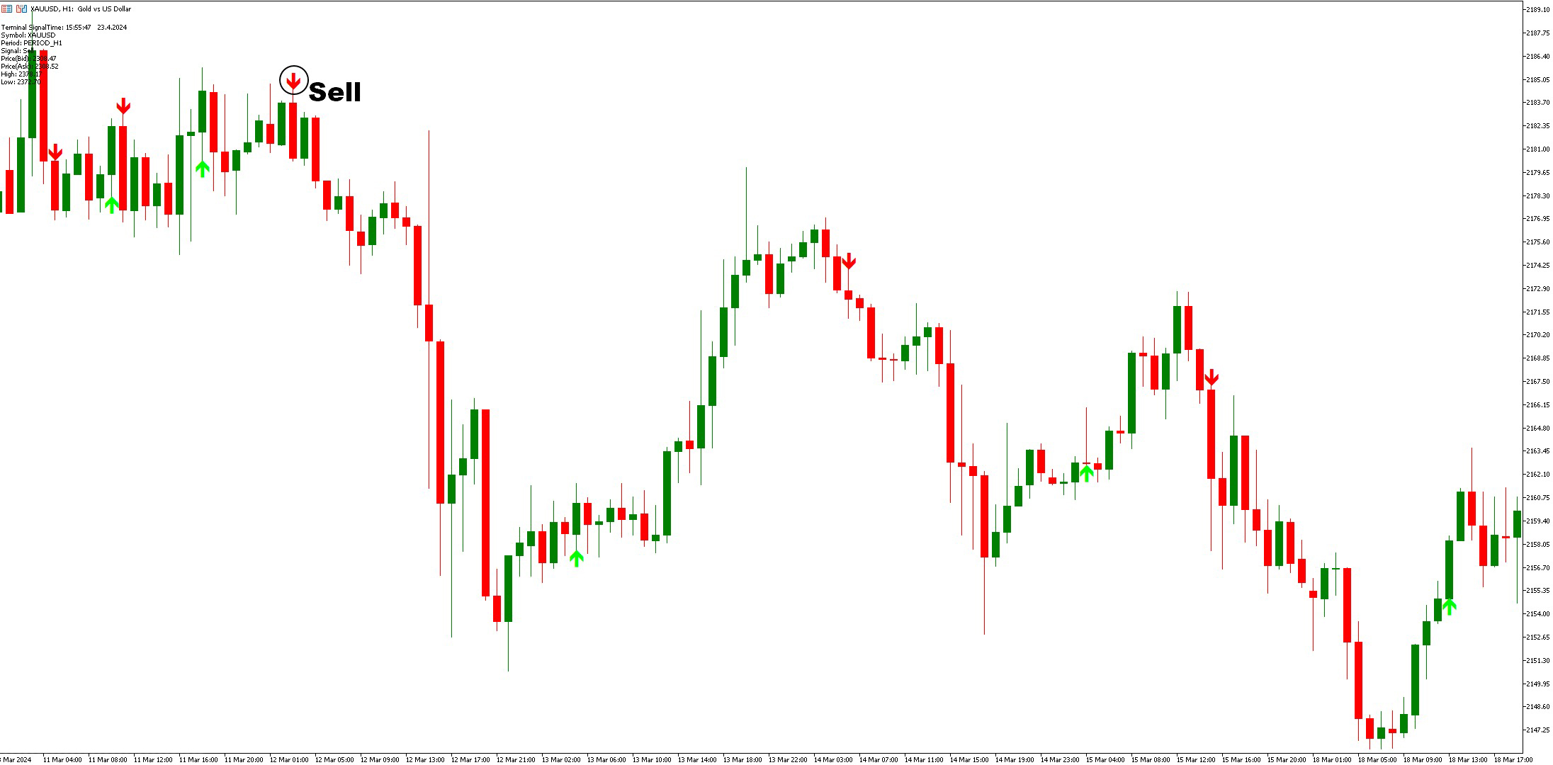 دانلود اندیکاتور Sell و Buy در متاتریدر 5 | اندیکاتور Gann Signal