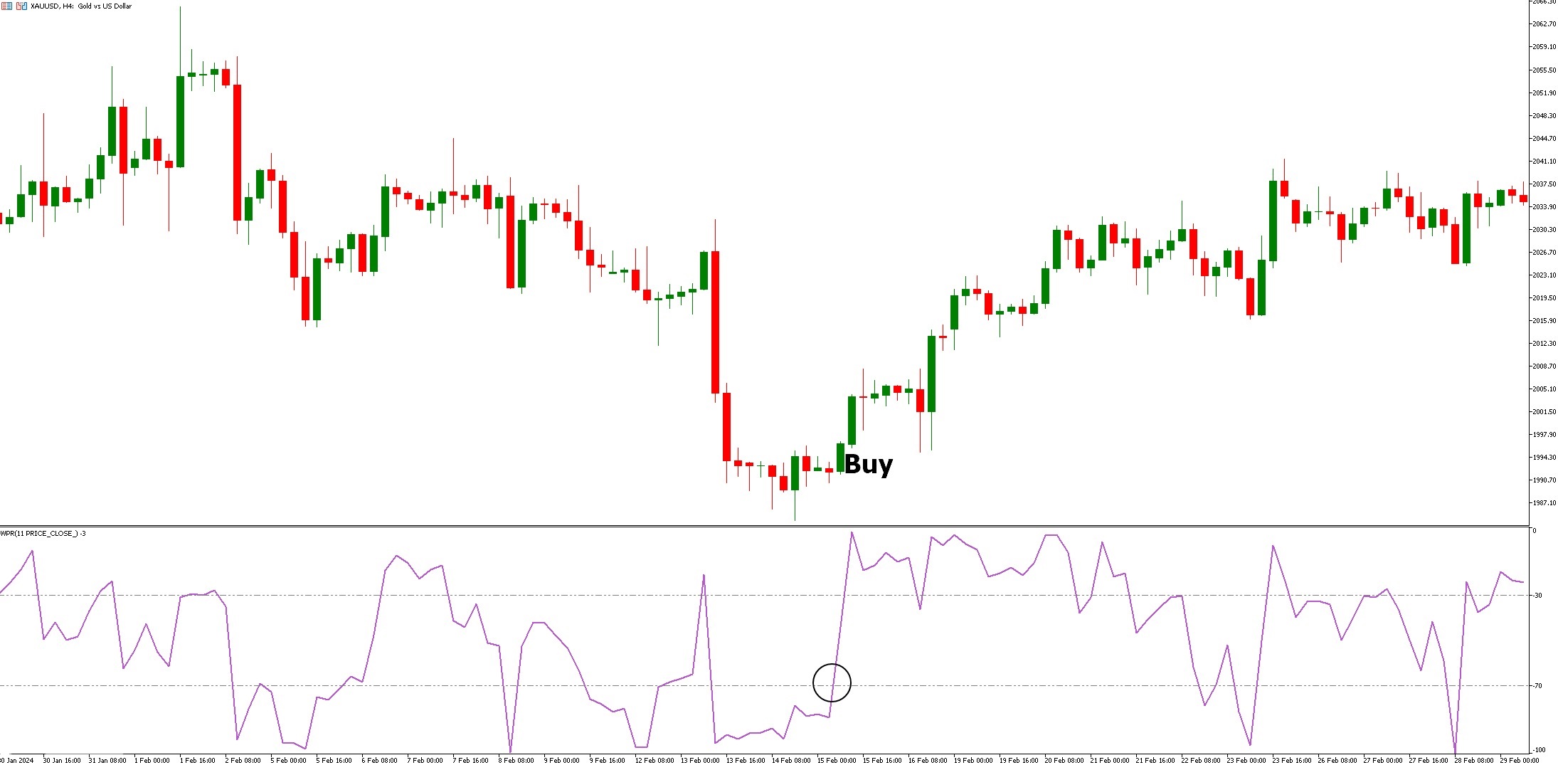 دانلود اندیکاتور نوسان گیر WPR Forex در متاتریدر 5