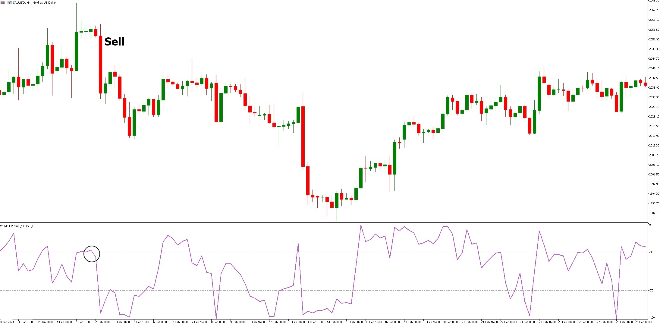 دانلود اندیکاتور نوسان گیر WPR Forex در متاتریدر 5