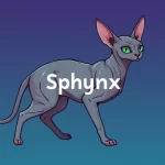 Sphynx daily combo